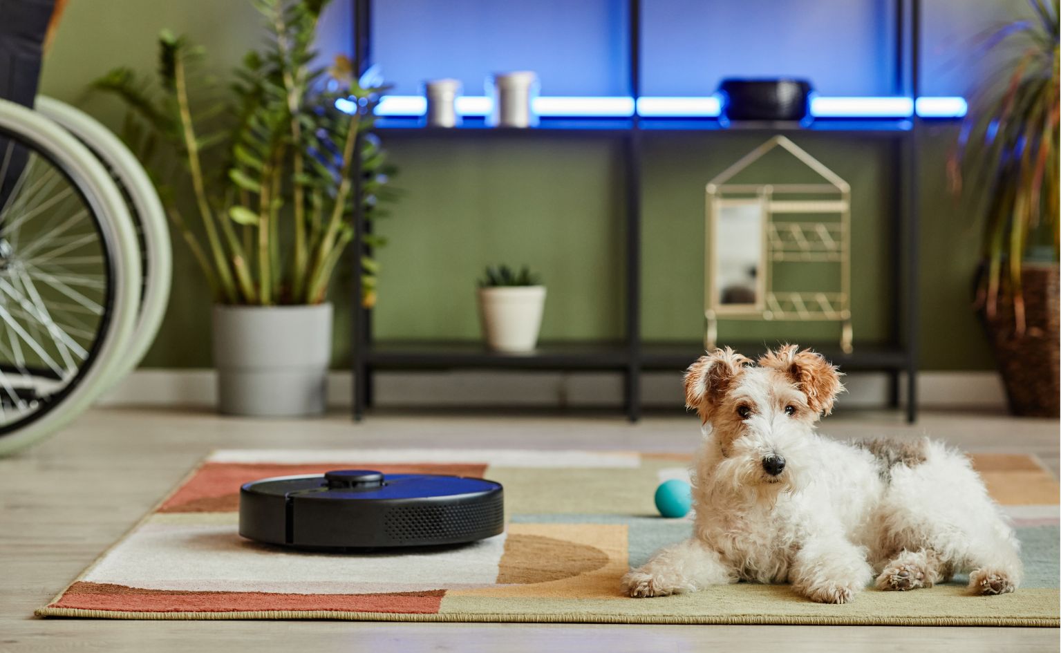Robotic Vacuums Transform Pet-Friendly Living