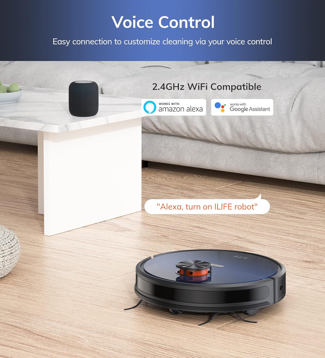 T10s Voice control image