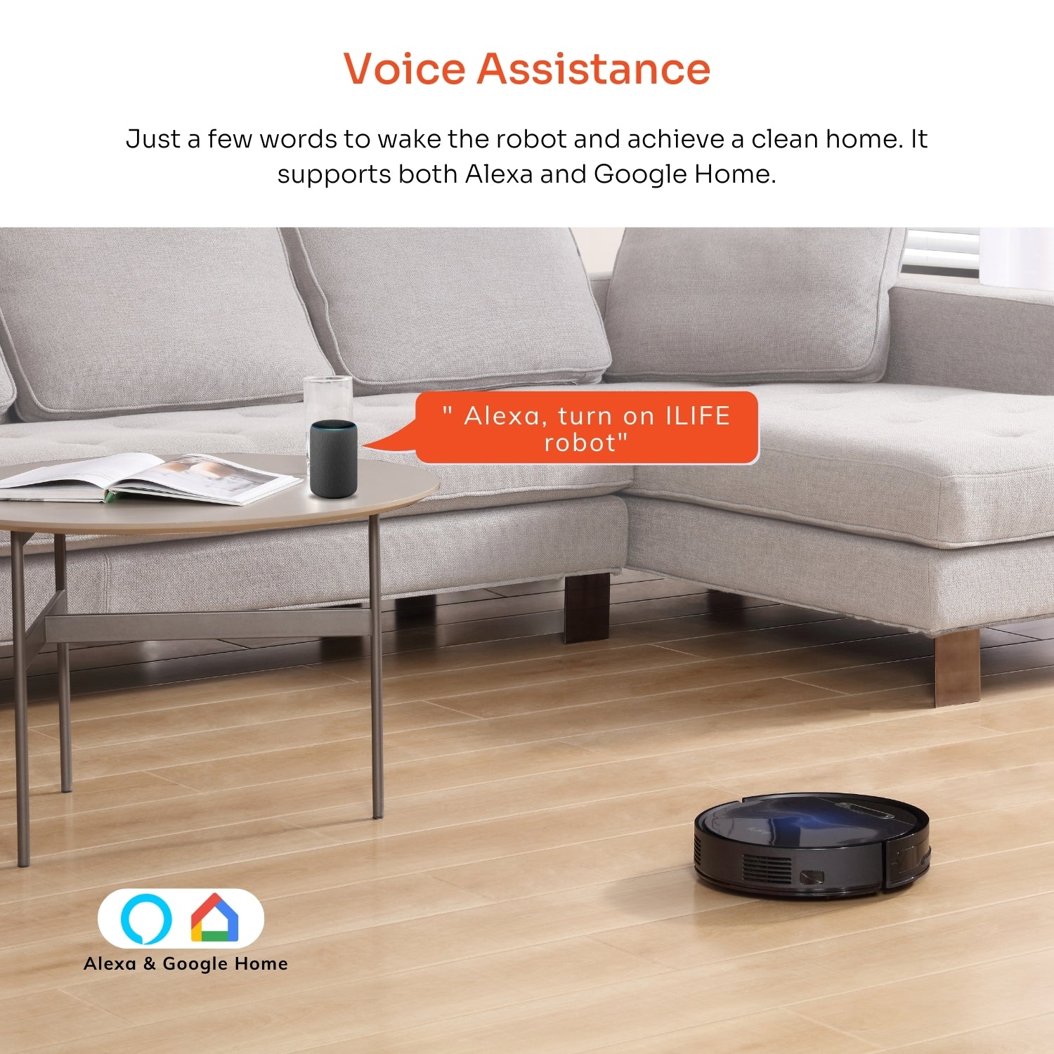 Voice assistance 